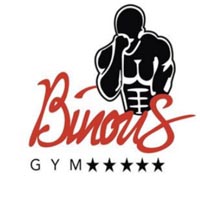 Aniss Binous Gym LLC