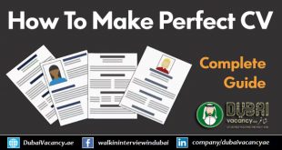 How To Make a Perfect CV